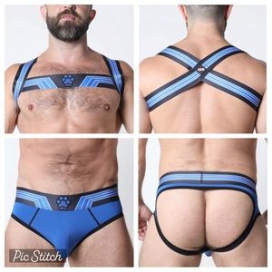 CELLBLOCK 13 Blue Kennel Club Bandit Complete Set Jock Brief AND Harness